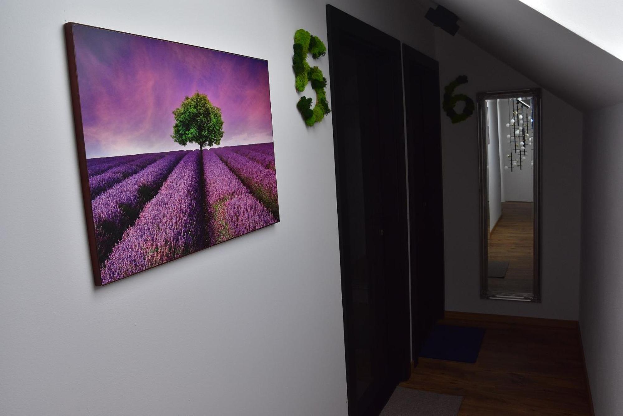 Apartmany Zakovce & Spa เวลคา ลอมนิตซา ภายนอก รูปภาพ